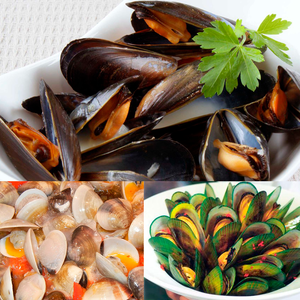 Mussel-MIX
